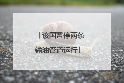 该国暂停两条输油管道运行