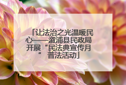让法治之光温暖民心——溆浦县民政局开展“民法典宣传月” 普法活动