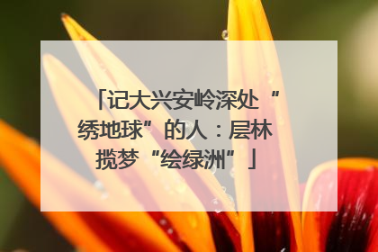 记大兴安岭深处“绣地球”的人：层林揽梦“绘绿洲”