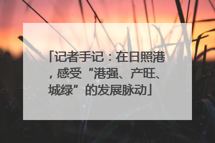 记者手记：在日照港，感受“港强、产旺、城绿”的发展脉动