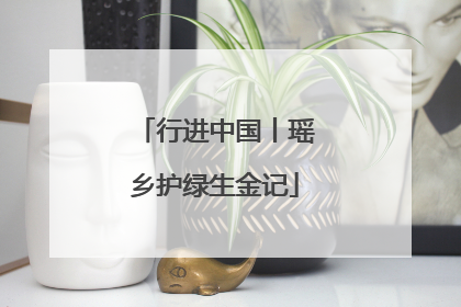 行进中国丨瑶乡护绿生金记