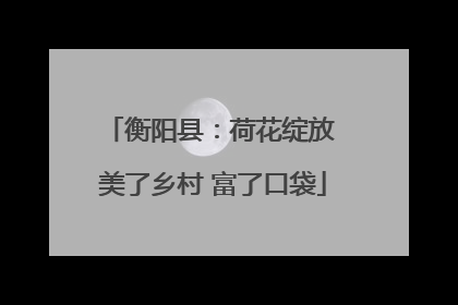 衡阳县：荷花绽放 美了乡村 富了口袋
