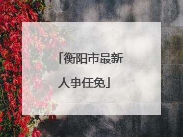 衡阳市最新人事任免