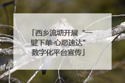 西乡流塘开展“一键下单·心愿速达”数字化平台宣传