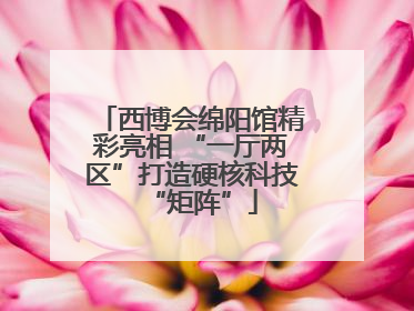 西博会绵阳馆精彩亮相 “一厅两区”打造硬核科技“矩阵”