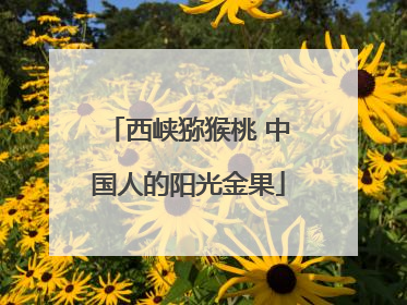 西峡猕猴桃 中国人的阳光金果