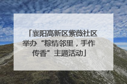襄阳高新区紫薇社区举办“粽情邻里，手作传香”主题活动