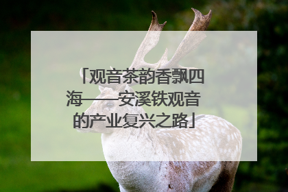 观音茶韵香飘四海——安溪铁观音的产业复兴之路