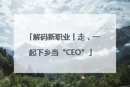 解码新职业丨走，一起下乡当“CEO”