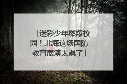 迷彩少年燃爆校园！北海这场国防教育展演太飒了