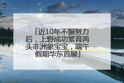 近10年不懈努力后，上野成功繁育两头非洲象宝宝，端午假期华东首展