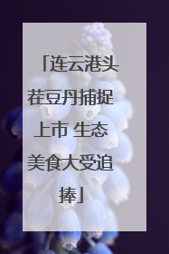 连云港头茬豆丹捕捉上市 生态美食大受追捧