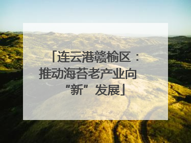 连云港赣榆区：推动海苔老产业向“新”发展
