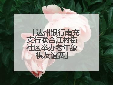 达州银行南充支行联合江村街社区举办老年象棋友谊赛