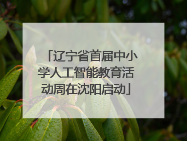 辽宁省首届中小学人工智能教育活动周在沈阳启动