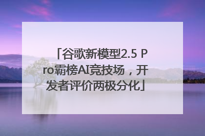 谷歌新模型2.5 Pro霸榜AI竞技场，开发者评价两极分化