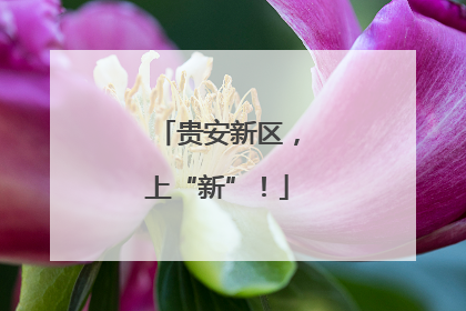 贵安新区，上“新”！