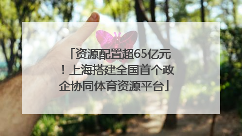 资源配置超65亿元！上海搭建全国首个政企协同体育资源平台