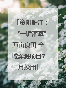 资阳雁江：“一键灌溉”万亩良田 全域灌溉项目7月投用