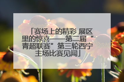 赛场上的精彩 展区里的惊喜——第二届“青超联赛”第三轮西宁主场比赛见闻
