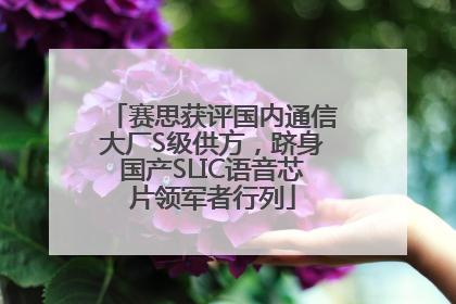 赛思获评国内通信大厂S级供方，跻身国产SLIC语音芯片领军者行列