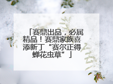 赛鼎出品，必属精品！赛鼎家族喜添新丁“赛尔正得蝉花虫草”