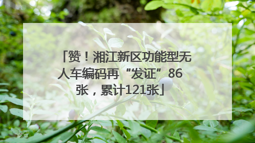 赞！湘江新区功能型无人车编码再“发证”86张，累计121张