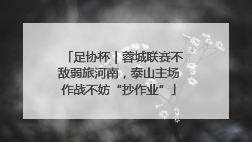 足协杯｜蓉城联赛不敌弱旅河南，泰山主场作战不妨“抄作业”