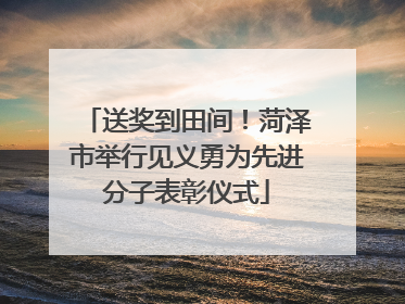 送奖到田间！菏泽市举行见义勇为先进分子表彰仪式