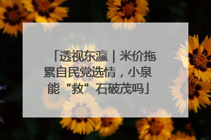 透视东瀛｜米价拖累自民党选情，小泉能“救”石破茂吗