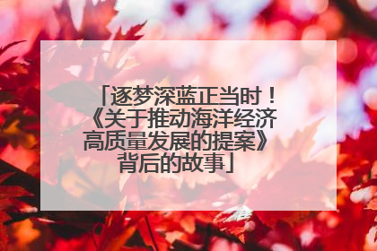 逐梦深蓝正当时！《关于推动海洋经济高质量发展的提案》背后的故事