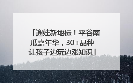 遛娃新地标！平谷南瓜嘉年华，30+品种让孩子边玩边涨知识