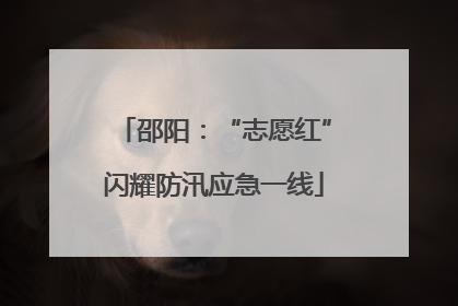邵阳：“志愿红”闪耀防汛应急一线