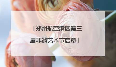 郑州航空港区第三届非遗艺术节启幕