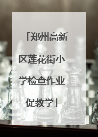 郑州高新区莲花街小学检查作业促教学