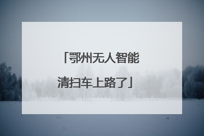 鄂州无人智能清扫车上路了