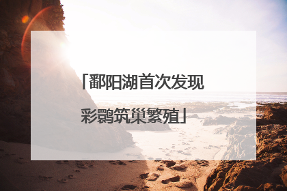 鄱阳湖首次发现彩鹮筑巢繁殖