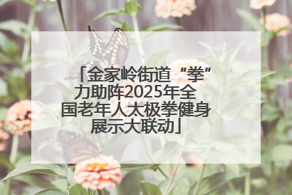 金家岭街道“拳”力助阵2025年全国老年人太极拳健身展示大联动