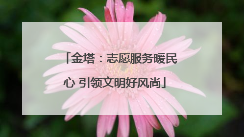 金塔：志愿服务暖民心 引领文明好风尚