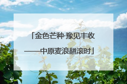 金色芒种·豫见丰收——中原麦浪翻滚时