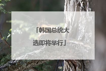 韩国总统大选即将举行