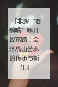 非遗“老鹳嘴”啄开致富路：会泽高山苦荞的传承与新生