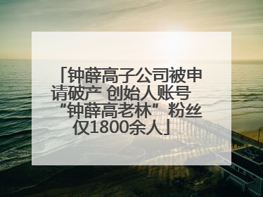 钟薛高子公司被申请破产 创始人账号“钟薛高老林”粉丝仅1800余人