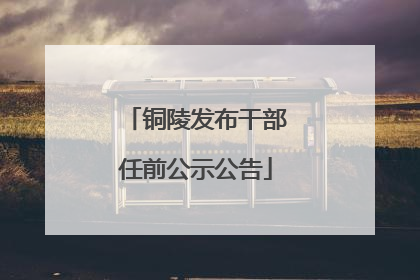铜陵发布干部任前公示公告