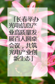 长春举办光电信息产业高质量发展百人圆桌会议，共筑光电产业创新生态