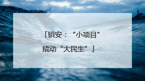 镇安：“小项目”撬动“大民生”