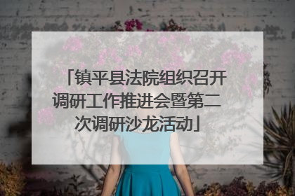 镇平县法院组织召开调研工作推进会暨第二次调研沙龙活动