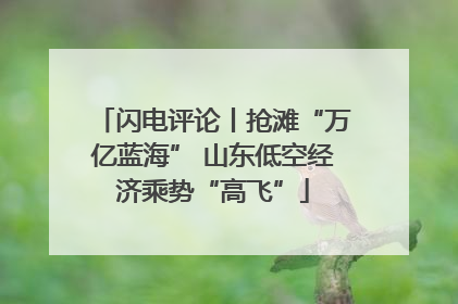 闪电评论丨抢滩“万亿蓝海” 山东低空经济乘势“高飞”