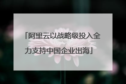 阿里云以战略级投入全力支持中国企业出海