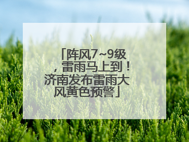 阵风7~9级，雷雨马上到！济南发布雷雨大风黄色预警